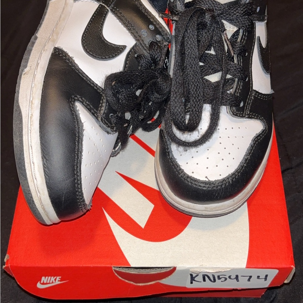 Nike Dunk